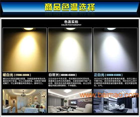 廣西照明微牌超市專用生鮮燈具省電節(jié)能,廣西照明微牌超市專用生鮮燈具省電節(jié)能生產(chǎn)廠家,廣西照明微牌超市專用生鮮燈具省電節(jié)能價格